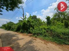 ขายที่ดิน เนื้อที่ 4 ไร่ 3 งาน 81.4 ตร.วา ลาดกระบัง กรุงเทพมหานคร-202509081134301757306070219.jpg