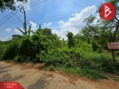 ขายที่ดิน เนื้อที่ 4 ไร่ 3 งาน 81.4 ตร.วา ลาดกระบัง กรุงเทพมหานคร-202509081134301757306070726.jpg