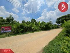 ขายที่ดิน เนื้อที่ 4 ไร่ 3 งาน 81.4 ตร.วา ลาดกระบัง กรุงเทพมหานคร-202509081134311757306071228.jpg