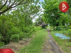 ขายที่ดิน เนื้อที่ 4 ไร่ 3 งาน 81.4 ตร.วา ลาดกระบัง กรุงเทพมหานคร-202509081134321757306072224.jpg