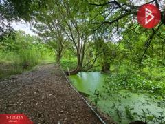 ขายที่ดิน เนื้อที่ 4 ไร่ 3 งาน 81.4 ตร.วา ลาดกระบัง กรุงเทพมหานคร-202509081134321757306072726.jpg