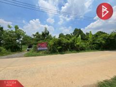 ขายที่ดิน เนื้อที่ 4 ไร่ 3 งาน 81.4 ตร.วา ลาดกระบัง กรุงเทพมหานคร-202509081134331757306073225.jpg