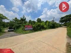 ขายที่ดิน เนื้อที่ 4 ไร่ 3 งาน 81.4 ตร.วา ลาดกระบัง กรุงเทพมหานคร-202509081134331757306073715.jpg