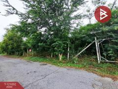 ขายที่ดินแปลงสวย-เรื้อที่-1-ไร่-2-งาน-99