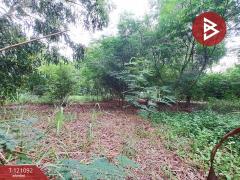 ขายที่ดินแปลงสวย เรื้อที่ 1 ไร่ 2 งาน 99 ตร.วา ซอยรามคำแหง 192 กรุงเทพมหานคร-202509081135341757306134662.jpg