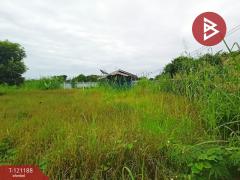 ขายที่ดิน เนื้อที่ 2 งาน 42 ตร.วา บางม่วง นครสวรรค์-202509081210041757308204278.jpg
