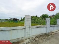 ขายที่ดิน เนื้อที่ 2 งาน 42 ตร.วา บางม่วง นครสวรรค์-202509081210051757308205308.jpg