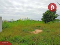 ขายที่ดิน เนื้อที่ 2 งาน 42 ตร.วา บางม่วง นครสวรรค์-202509081210051757308205819.jpg