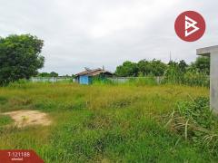 ขายที่ดิน เนื้อที่ 2 งาน 42 ตร.วา บางม่วง นครสวรรค์-202509081210061757308206333.jpg