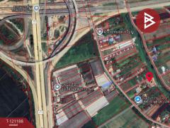 ขายที่ดิน เนื้อที่ 2 งาน 42 ตร.วา บางม่วง นครสวรรค์-202509081210071757308207367.jpg