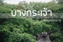 ขายที่ดินเปล่า บางกระเจ้า ตลาดน้ำบางน้ำผึ้ง -202509081221511757308911052.jpg