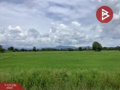 ขายที่ดิน เนื้อที่ 1318 ตารางวา ทำเลดี ติดครองน้ำเขื่อนผาจุก-202509081305271757311527132.jpg