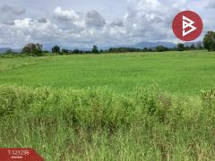 ขายที่ดิน เนื้อที่ 1318 ตารางวา ทำเลดี ติดครองน้ำเขื่อนผาจุก-202509081305271757311527656.jpg