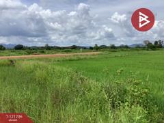 ขายที่ดิน เนื้อที่ 1318 ตารางวา ทำเลดี ติดครองน้ำเขื่อนผาจุก-202509081305281757311528497.jpg