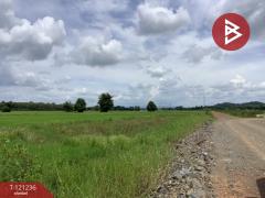 ขายที่ดิน เนื้อที่ 1318 ตารางวา ทำเลดี ติดครองน้ำเขื่อนผาจุก-202509081305291757311529025.jpg