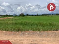 ขายที่ดิน เนื้อที่ 1318 ตารางวา ทำเลดี ติดครองน้ำเขื่อนผาจุก-202509081305291757311529545.jpg