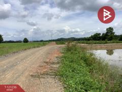 ขายที่ดิน เนื้อที่ 1318 ตารางวา ทำเลดี ติดครองน้ำเขื่อนผาจุก-202509081305301757311530071.jpg