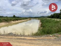 ขายที่ดิน เนื้อที่ 1318 ตารางวา ทำเลดี ติดครองน้ำเขื่อนผาจุก-202509081305301757311530840.jpg