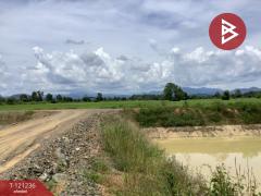 ขายที่ดิน เนื้อที่ 1318 ตารางวา ทำเลดี ติดครองน้ำเขื่อนผาจุก-202509081305311757311531399.jpg