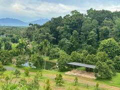 ขายสวนทุเรียน 11 ไร่ อ.มะขาม จันทบุรี พร้อมบ้านตากอากาศ บนเนินเขา วิวหลักล้าน สไตส์รีสอร์ท โทร 0830132000-202509081315451757312145699.jpg