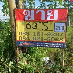 ขายที่ดิน ติดถนนสายหลัก พล.-นว. ราคาถูก ทำเลดี  เนื้อที่  63-0-0 ไร่  บ้านวังเป็ด  บางระกำ  พิษณุโลก
