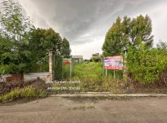 ขายที่ดิน เนื้อที่ 300 ตารางวา คลอง 14 ตำบลหนองเสือ ปทุมธานี#LB268 – 001095