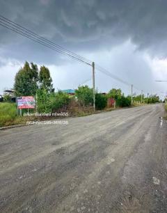 ขายที่ดิน เนื้อที่ 300 ตารางวา คลอง 14 ตำบลหนองเสือ ปทุมธานี#LB268 – 001095-202509081458551757318335509.jpg