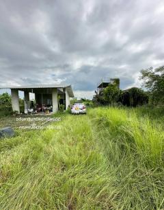 ขายที่ดิน เนื้อที่ 300 ตารางวา คลอง 14 ตำบลหนองเสือ ปทุมธานี#LB268 – 001095-202509081458561757318336566.jpg