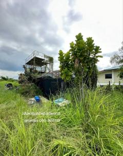 ขายที่ดิน เนื้อที่ 300 ตารางวา คลอง 14 ตำบลหนองเสือ ปทุมธานี#LB268 – 001095-202509081458581757318338738.jpg