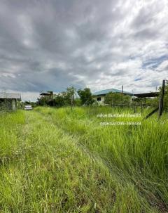 ขายที่ดิน เนื้อที่ 300 ตารางวา คลอง 14 ตำบลหนองเสือ ปทุมธานี#LB268 – 001095-202509081458591757318339271.jpg