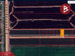 ขายที่ดิน เนื้อที่ 1 งาน หนองเสือ ปทุมธานี-202509081533271757320407885.jpg