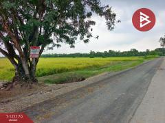 ขายที่ดิน เนื้อที่ 1 งาน หนองเสือ ปทุมธานี-202509081533281757320408399.jpg