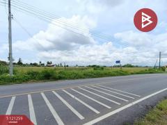 ขายที่ดิน-เนื้อที่-1-ไร่-76-ตารางวา-คุ้