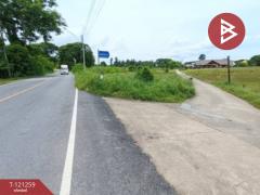 ขายที่ดิน เนื้อที่ 1 ไร่ 76 ตารางวา คุ้งตะเภา อุตรดิตถ์-202509081745161757328316543.jpg