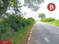 ขายที่ดิน เนื้อที่ 1 ไร่ 76 ตารางวา คุ้งตะเภา อุตรดิตถ์-202509081745191757328319790.jpg