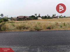 ขายที่ดิน เนื้อที่ 1 ไร่ 76 ตารางวา คุ้งตะเภา อุตรดิตถ์-202509081745201757328320528.jpg