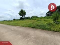 ขายที่ดิน เนื้อที่ 1 ไร่ 76 ตารางวา คุ้งตะเภา อุตรดิตถ์-202509081745211757328321566.jpg