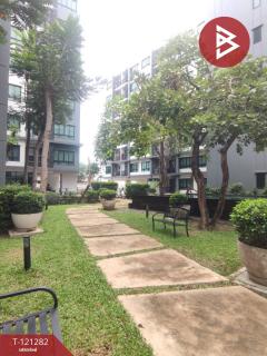 ขายคอนโด เดอะแมททริค นครปฐม (The Matrix Nakhon Pathom) พร้อมผู้เช่า-202509081836371757331397334.jpg