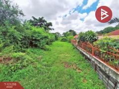 ขายที่ดิน เนื้อที่ 2 งาน 21.7 ตร.วา ตลาด มหาสารคาม-202509081902581757332978982.jpg