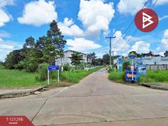 ขายที่ดิน เนื้อที่ 2 งาน 21.7 ตร.วา ตลาด มหาสารคาม-202509081903041757332984756.jpg