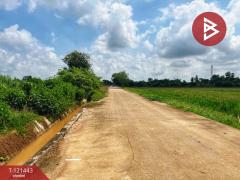 ขายที่ดิน เนื้อที่ 3 ไร่ 1 งาน 5.9 ตร.วา สรรพยา ชัยนาท-202509081936551757335015552.jpg
