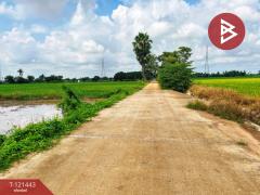 ขายที่ดิน เนื้อที่ 3 ไร่ 1 งาน 5.9 ตร.วา สรรพยา ชัยนาท-202509081936561757335016077.jpg