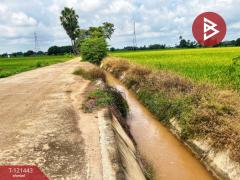 ขายที่ดิน เนื้อที่ 3 ไร่ 1 งาน 5.9 ตร.วา สรรพยา ชัยนาท-202509081936561757335016596.jpg