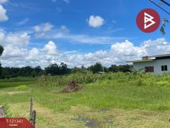ขายที่ดิน เนื้อที่ 4 ไร่ 3 งาน 62 ตร.วา นายม อำนาจเจริญ-202509082105001757340300830.jpg