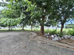 ขาย ที่ดิน กฤษฎานคร 20 ขนาด 162 ตรว ติดทะเลสาบ วิวสวยมาก TV..-202509091110481757391048792.jpg