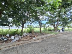 ขาย ที่ดิน กฤษฎานคร 20 ขนาด 162 ตรว ติดทะเลสาบ วิวสวยมาก TV..-202509091110491757391049326.jpg