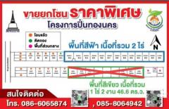 ขาย ที่ดิน จัดสรร 13 แปลง น้ำไม่ท่วม ที่ดิน 2 ไร่ ถมสูงแล้วนานกว่า 10 ปี-202509091518231757405903301.jpg