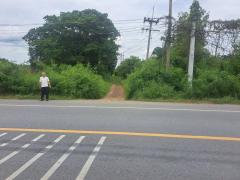 ขายที่ดินเปล่า ทำเลดี คลอง 14 หนองเสือ จังหวัดปทุมธานี-202509091550391757407839159.jpg