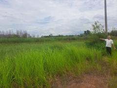 ขายที่ดินเปล่า ทำเลดี คลอง 14 หนองเสือ จังหวัดปทุมธานี-202509091550401757407840248.jpg