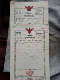 ขายที่ดินเปล่า ทำเลดี คลอง 14 หนองเสือ จังหวัดปทุมธานี-202509091550401757407840794.jpg